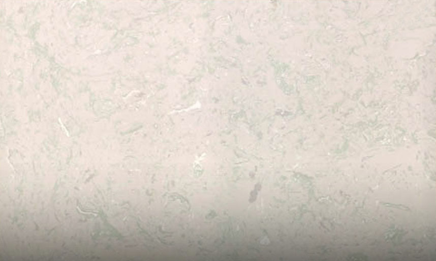Đá Hoa Cương Nhân Tạo Trắng Ngọc Long Đá Hoa Cương Nhân Tạo Trắng Ngọc Long